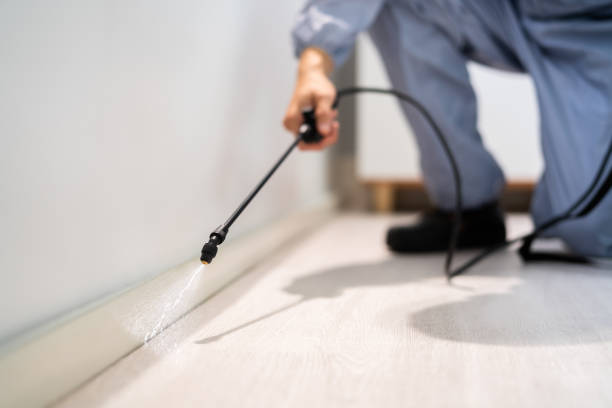 Licensed Cockroach Control service in Arthur, IL - Nex Pest Control