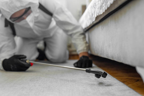 Professional Cockroach Control technician working in Arthur, IL
