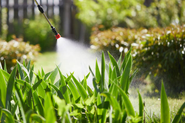 24/7 Emergency Cockroach Control experts in Arthur, IL